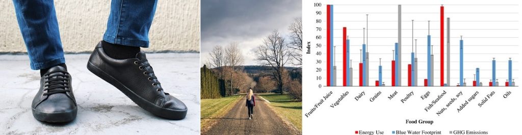 Best of 2025 KineSophy articles from before 2025